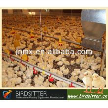 Full Automatic Poultry Raising Equipment for Broiler breeder and Chicken